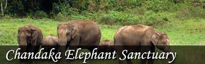 Chandaka Elephant Sanctuary Logo