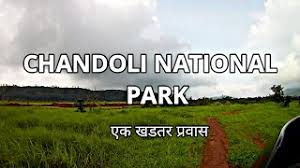 Chandoli National Park - Logo