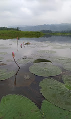 Chandubi Lake Travel | Lake
