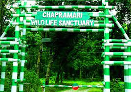Chapramari Wildlife Sanctuary Travel | Zoo and Wildlife Sanctuary 