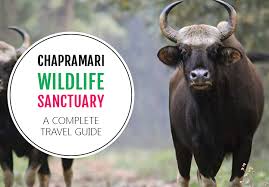 Chapramari Wildlife Sanctuary Logo