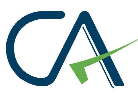 Cherian Thomas & Co. Chartered Accountants - Logo