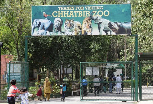 Chhatbir Zoo(Mahendra Chaudhary Zoological Park) Travel | Zoo and Wildlife Sanctuary 