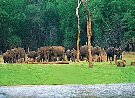 Chinnar Wildlife Sanctuary Travel | Zoo and Wildlife Sanctuary 