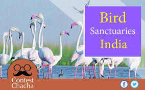 Chitrangudi Bird Sanctuary - Logo