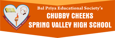 Chubby Cheeks Spring Valley High School Logo