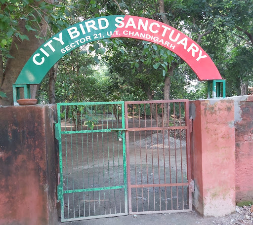 city birds wildlife sanctuary Travel | Zoo and Wildlife Sanctuary 
