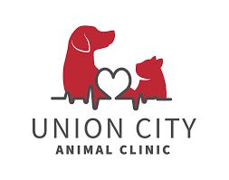 CITY DOG CLINIC Logo