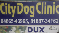 City Dog Clinic Medical Services | Veterinary