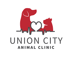 City Dog Clinic|Hospitals|Medical Services