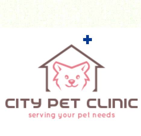 City Pet Clinic|Healthcare|Medical Services