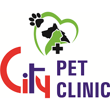 City Pet Clinic|Clinics|Medical Services