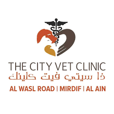 City Vet Clinic|Hospitals|Medical Services