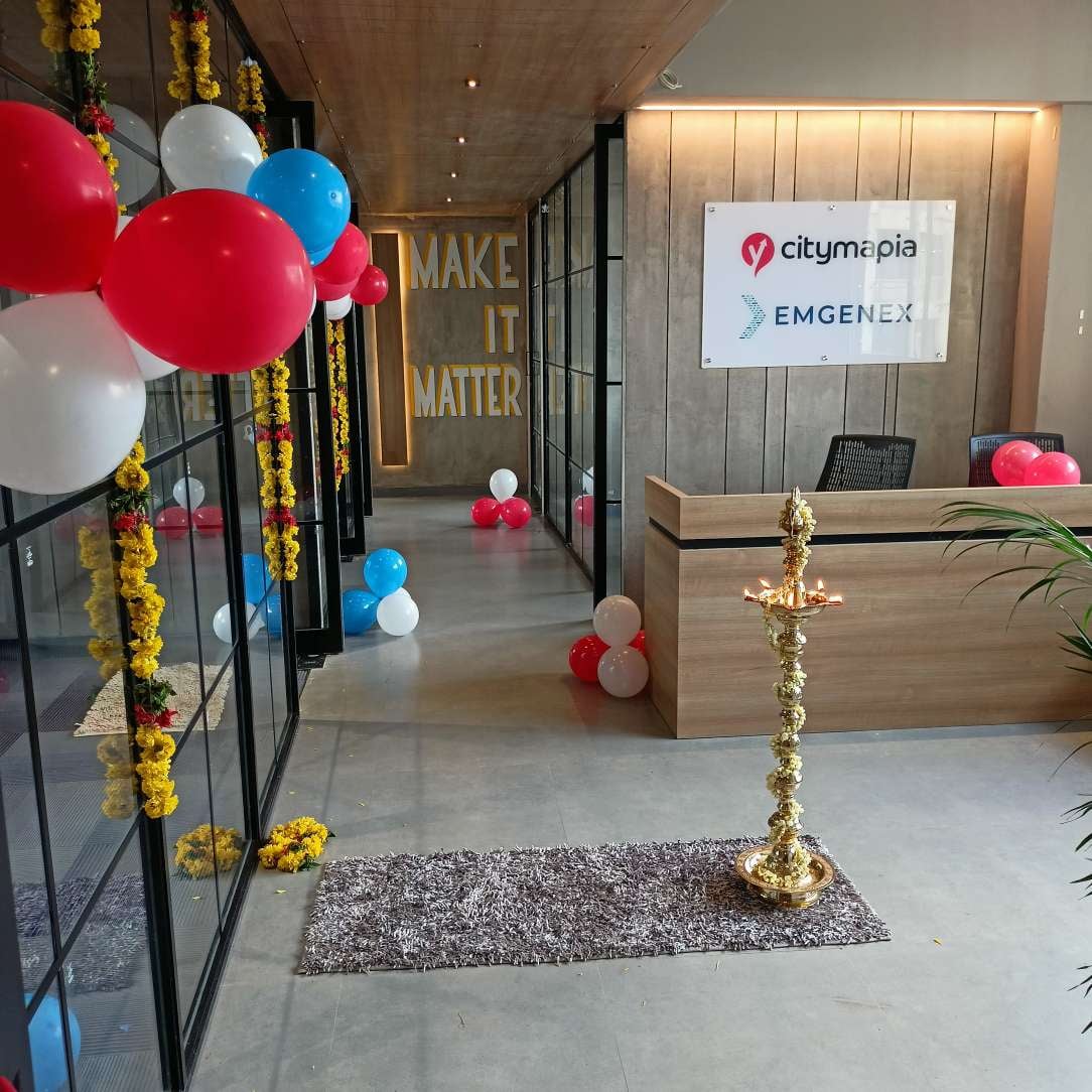 Citymapia Professional Services | Accounting Services