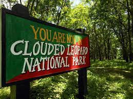 Clouded Leopard National Park Travel | Zoo and Wildlife Sanctuary 