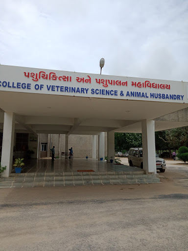 College of Veterinary Science and Animal Husbandry Banaskantha, Banasanktha  - Courses, Fees and Admissions | Joon Square