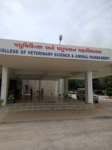 College of Veterinary Science and Animal Husbandry Education | Colleges