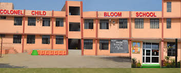 COLONEL CHILD BLOOM SR. SEC. SCHOOL Najafgarh Schools 01
