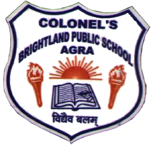 Colonel's Brightland Public School|Colleges|Education
