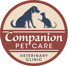 Companion care pet clinic and diagnostics|Hospitals|Medical Services