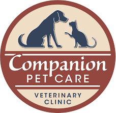 Companion care pet clinic and diagnostics|Veterinary|Medical Services