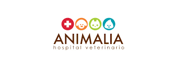 CREATIVE VETERINARY HOSPITAL|Veterinary|Medical Services
