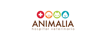 CREATIVE VETERINARY HOSPITAL|Diagnostic centre|Medical Services