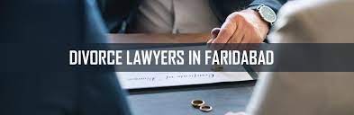 Criminal & Divorce lawyer in Faridabad|Architect|Professional Services