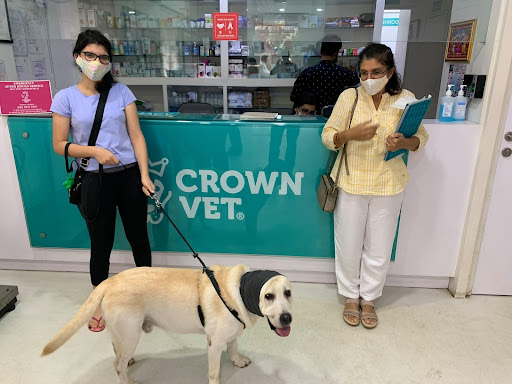 Crown Vet Worli Medical Services | Veterinary