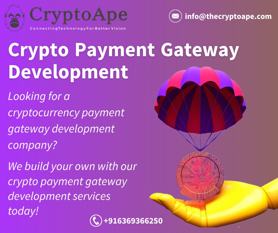 CryptoApe Professional Services | IT Services