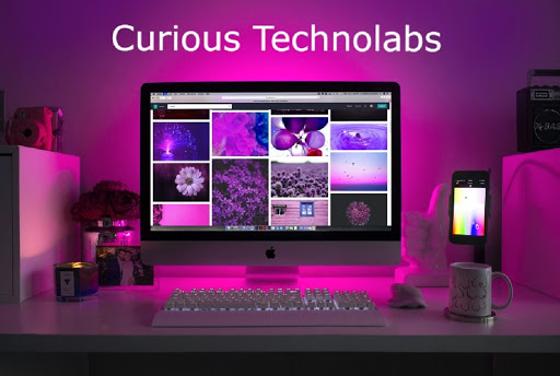 Curious Technolab Professional Services | IT Services