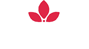 Cutiepie Salon & Style Studio|Salon|Active Life