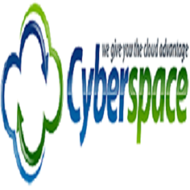 Cyberpace |Architect|Professional Services