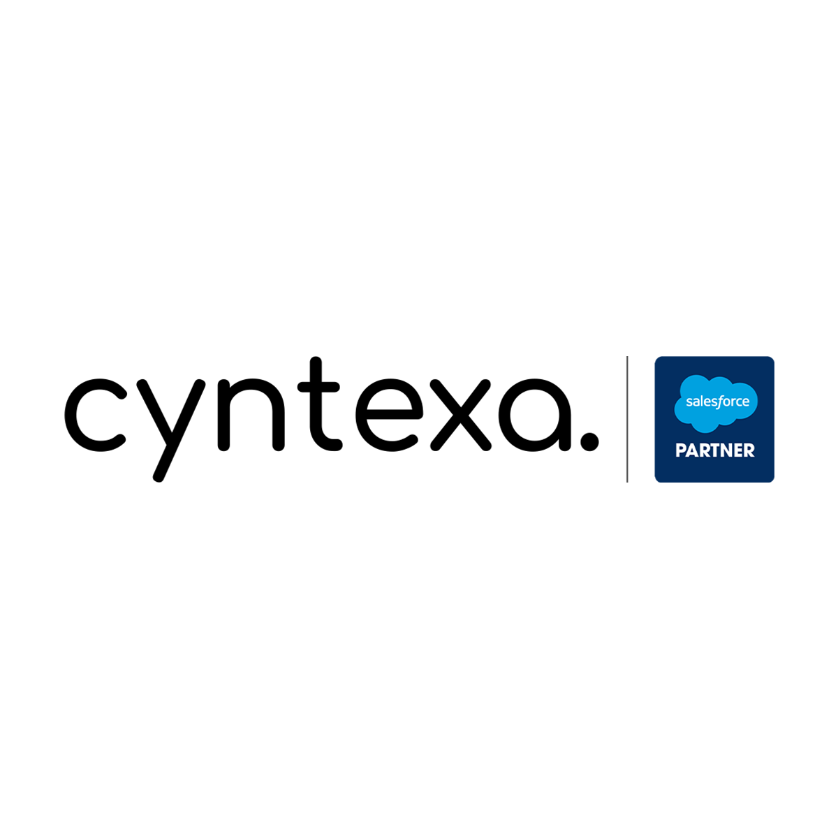 CyntexaLabsPvtLtd|IT Services|Professional Services