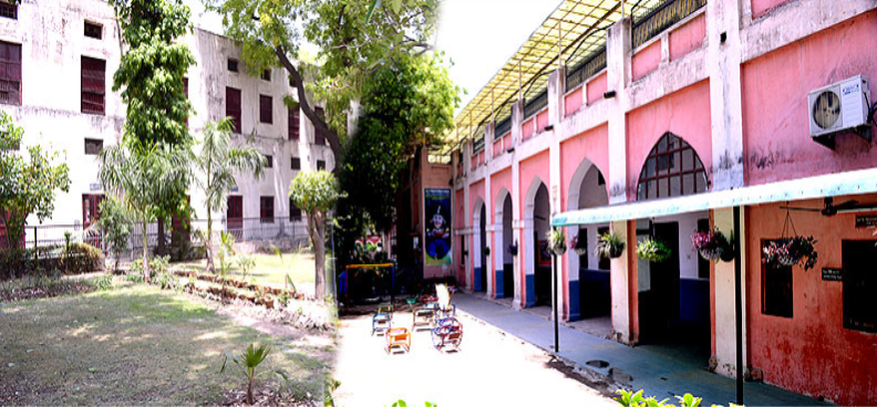 D.A.V. Public Primary School Education | Schools