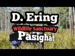 D'Ering Memorial Wildlife Sanctuary - Logo