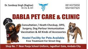 Dabla Pet Care & Clinic|Hospitals|Medical Services
