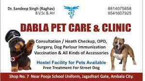 Dabla Pet Care & Clinic|Diagnostic centre|Medical Services