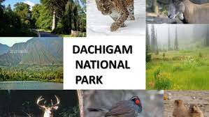 Dachigam National Park - Logo