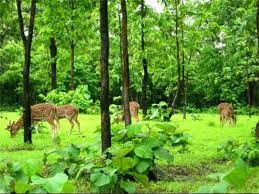 Dadra and Nagar Haveli Wildlife Sanctuary Travel | Zoo and Wildlife Sanctuary 