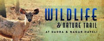 Dadra and Nagar Haveli Wildlife Sanctuary Logo