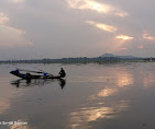 Dal lake Travel | Lake