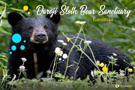 Daroji Sloth Bear Sanctuary Logo