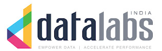 Data Labs India Solutions Pvt Ltd Logo