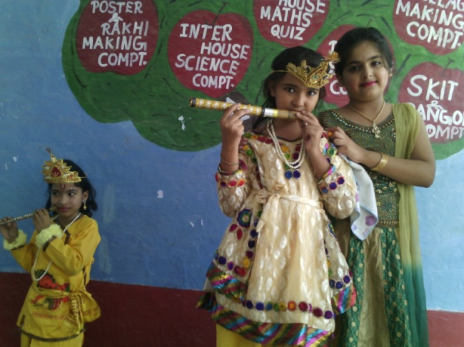 DAV Centenary Public School Kalanaur Schools 003