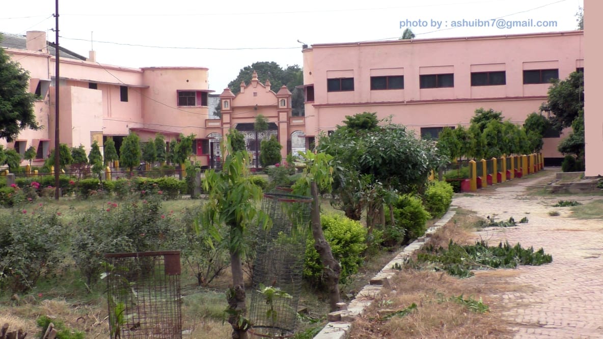 Dav  PG College Education | Colleges