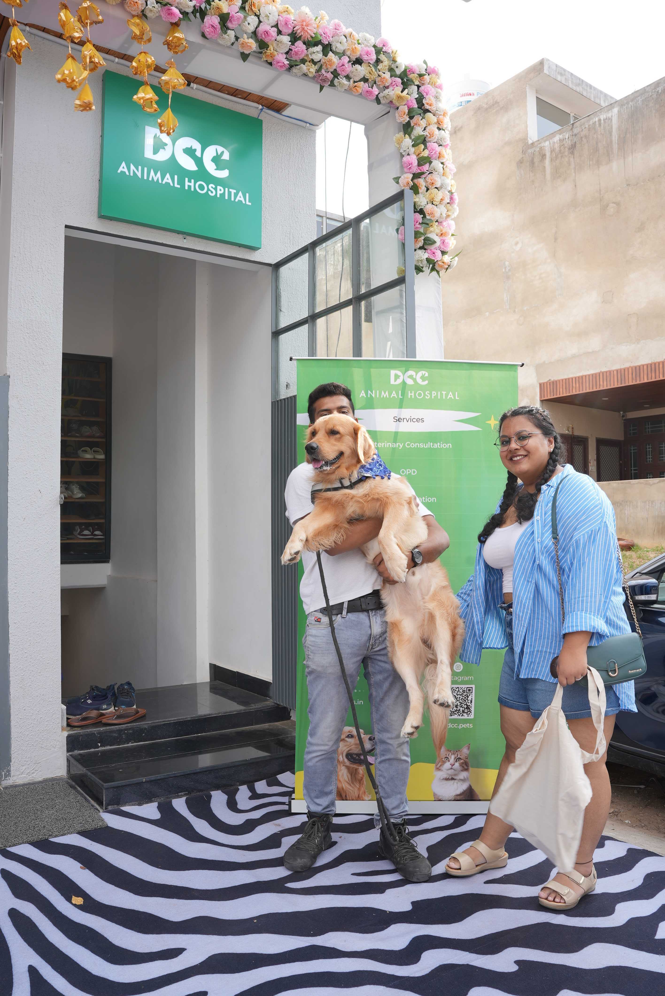 DCC Animal Hospital Medical Services | Veterinary