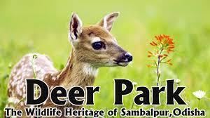 Deer Park (Mini Zoo Sambalpur) - Logo