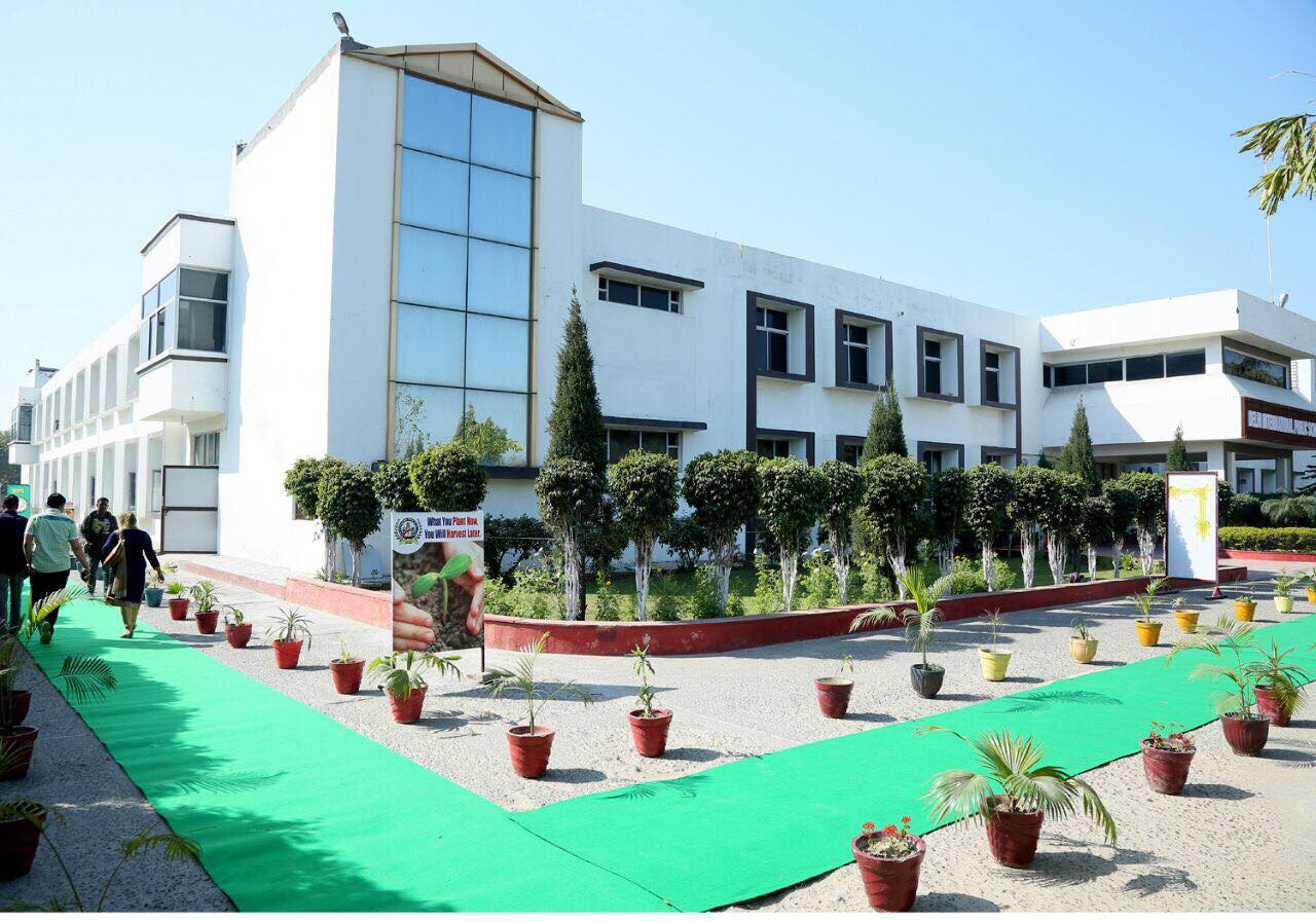 Delhi International Public School Education | Schools