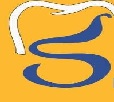 Dengtum Dental - Logo